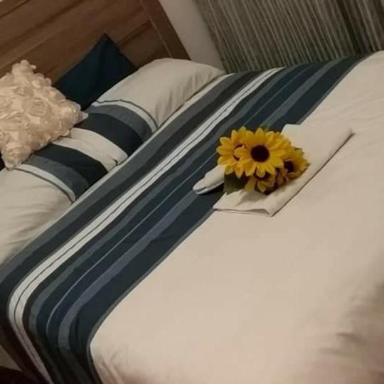 Midrand Bed And Breakfast Extérieur photo